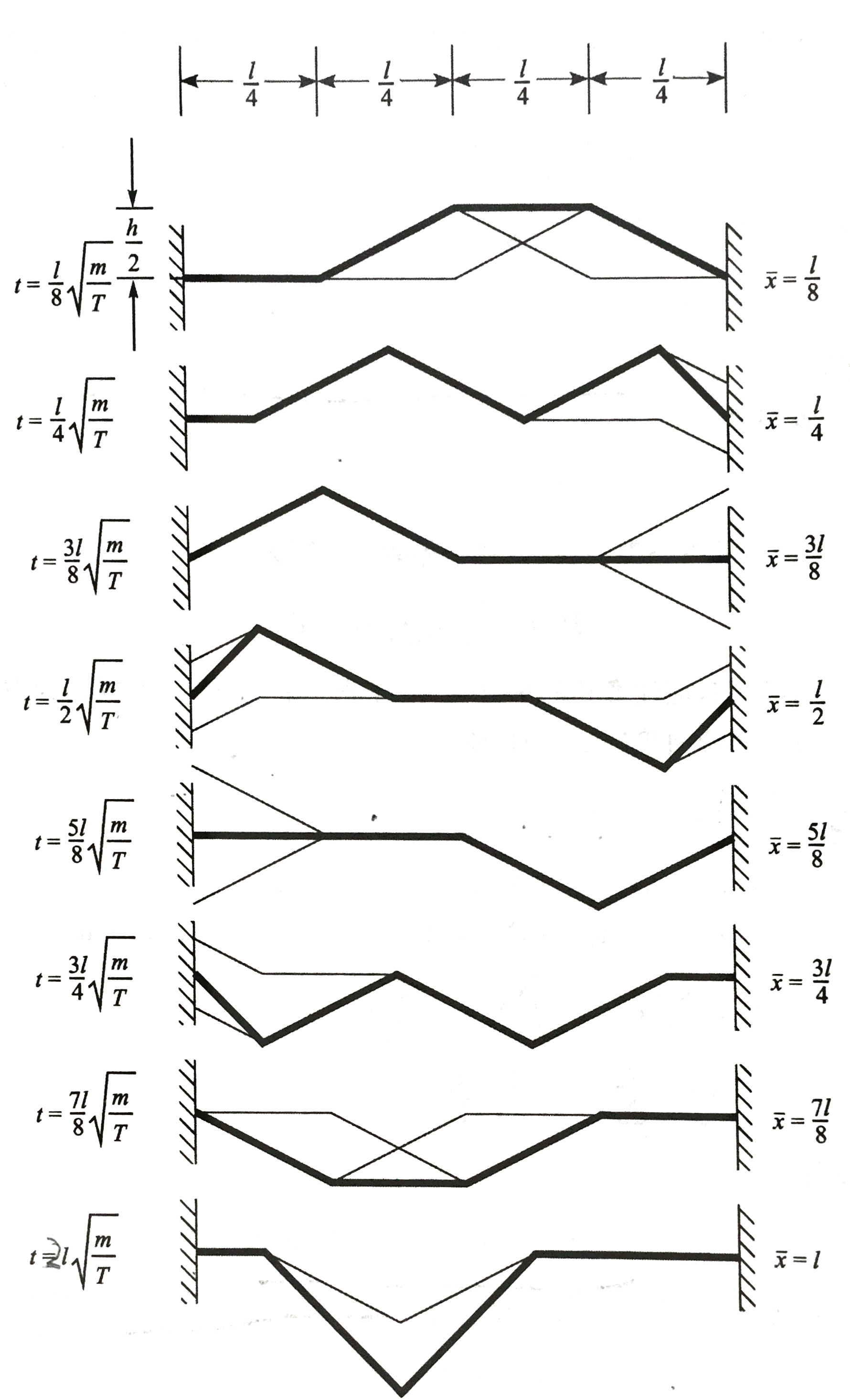 集中力在半展长处的弦
