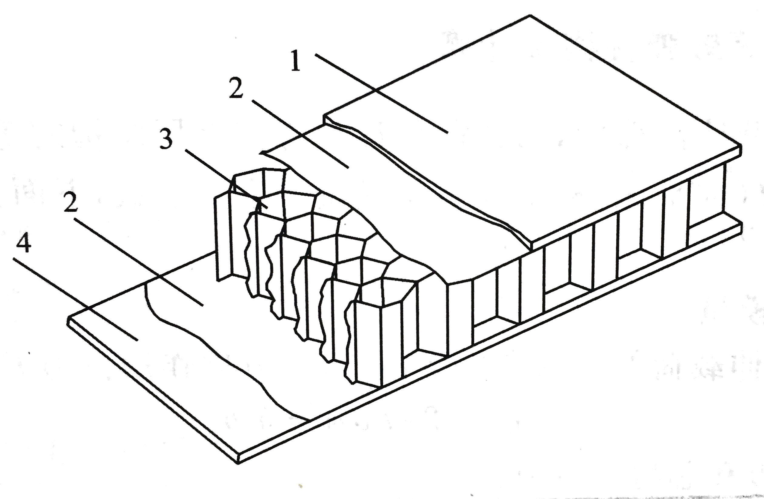 受剪切载荷的夹层结构