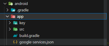 googleservicejson